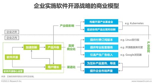 2022年中國開源軟件產(chǎn)業(yè)研究報告 基礎軟件服務篇
