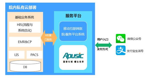 醫(yī)療信息系統(tǒng)安全漏洞 從基礎軟件服務隱患看真實案例警示